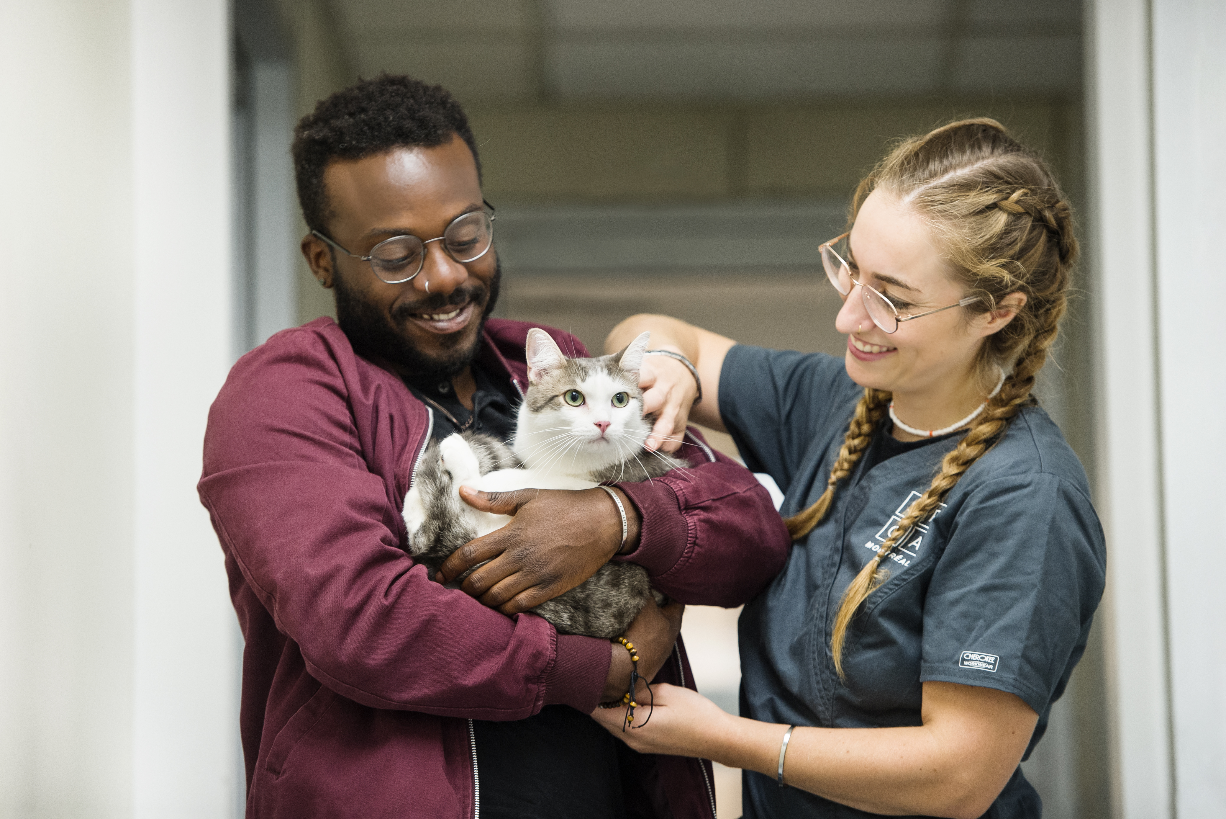 Volunteer Montreal SPCA